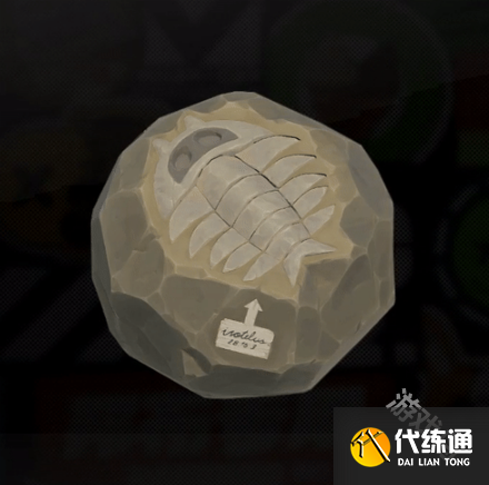 绝区零贵重骨骸属性