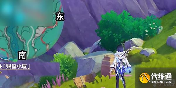 原神故事始于无雨的森林在哪