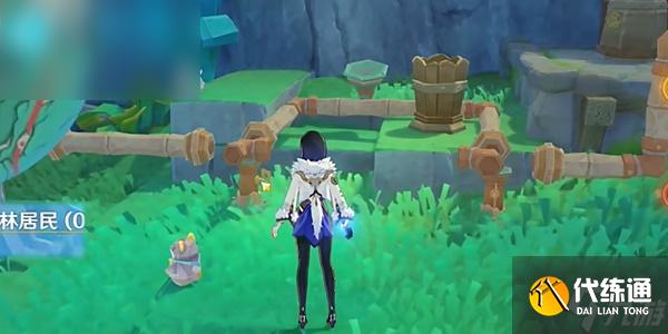 原神故事始于无雨的森林在哪