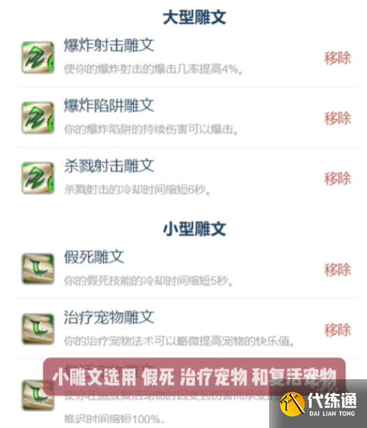 魔兽世界怀旧服猎人超级直升最佳配装是什么
