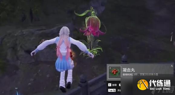 永劫无间龙隐洞天食人芋在哪