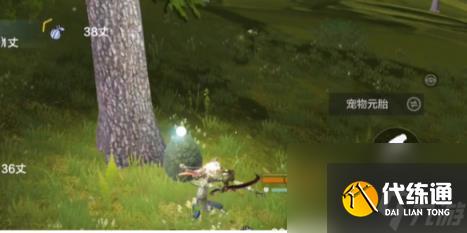 妄想山海捡蛋位置一蓝