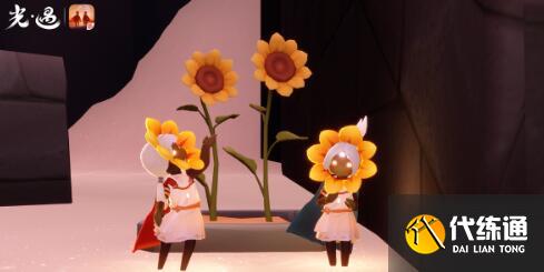 光遇运动会开启时间及玩法一览