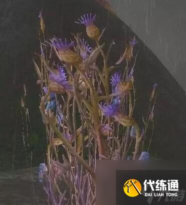 《魔兽世界》wlk草药1-450快速冲级攻略