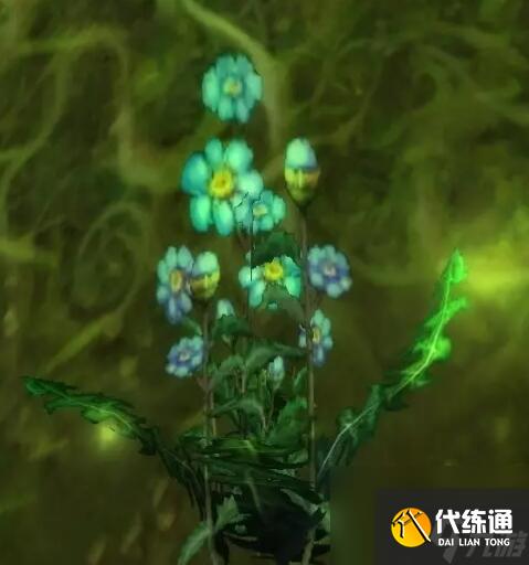 《魔兽世界》wlk草药1-450快速冲级攻略