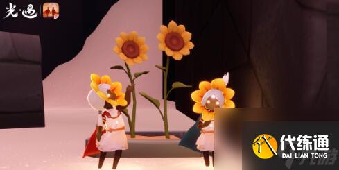 光遇运动会活动怎么参加