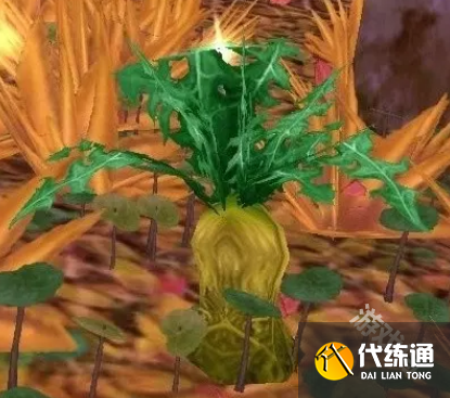 魔兽世界wlk下水道炖肉任务怎么做