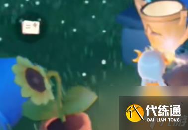 《光遇》运动会奖励在哪兑换