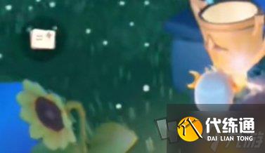 光遇运动会奖励兑换在什么位置 运动会奖励兑换位置一览