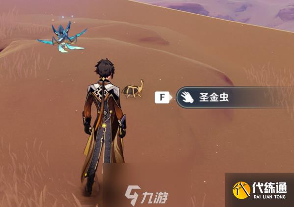 原神圣金虫在哪采集 圣金虫位置分布图