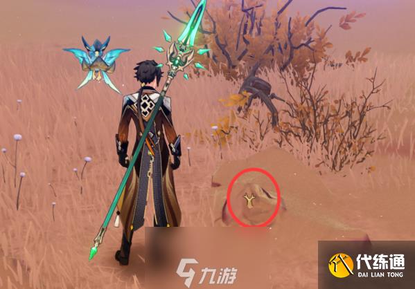 原神圣金虫在哪采集 圣金虫位置分布图