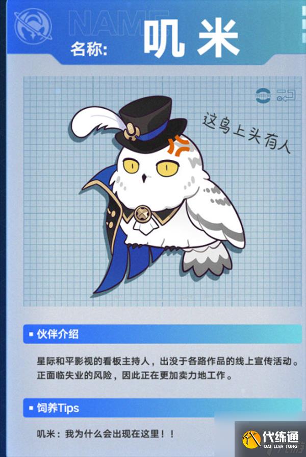 崩坏星穹铁道星际伙伴饲养指南-崩坏星穹铁道星际伙伴怎么饲养