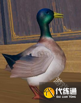 剑网3滴水恩宠物奇遇怎么做