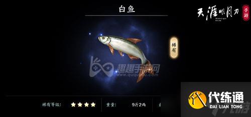 《天涯明月刀手游》白鱼鱼群位置介绍