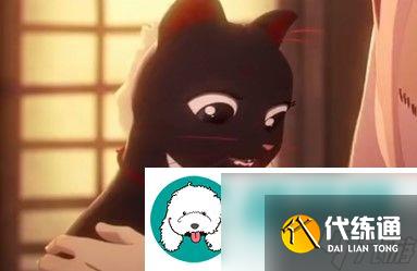 阴阳师缘结神中的神秘猫是怎么样的