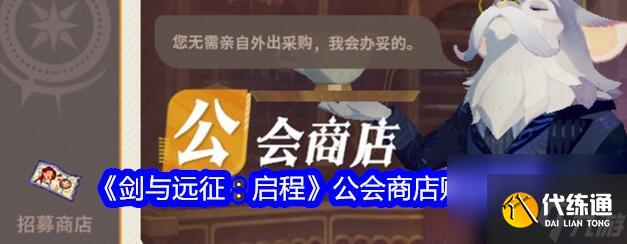 剑与远征启程公会商店什么值得买 剑与远征启程公会商店购买推荐