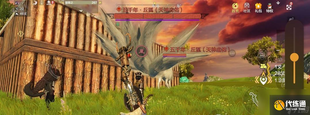 妄想山海攻略(让你轻松获得山海世界中最珍贵的素材)