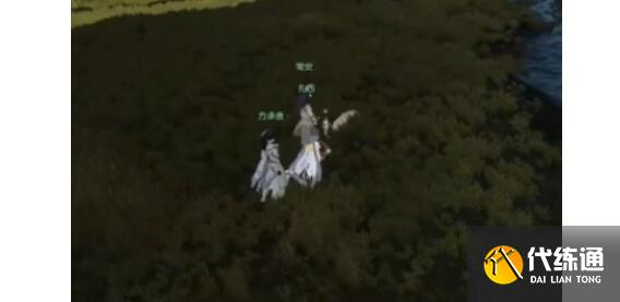 逆水寒手游亚丁格桑奇遇完成方法详解