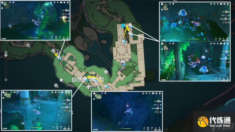 原神苍晶螺采集路线大全 苍晶螺采集位置在哪