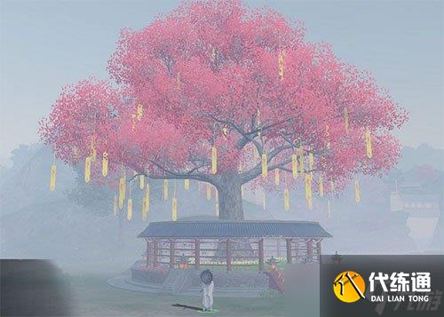 《天涯明月刀手游》风水许愿树种植方法