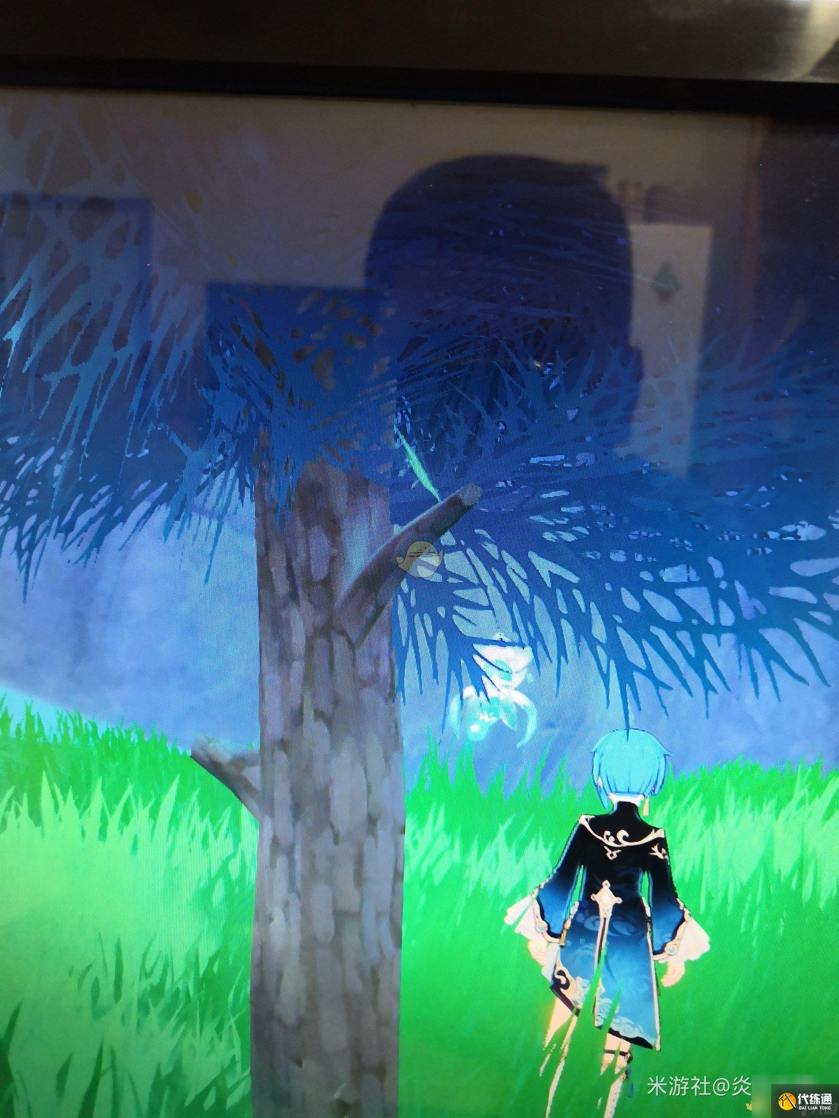 原神全树木辨别方法介绍