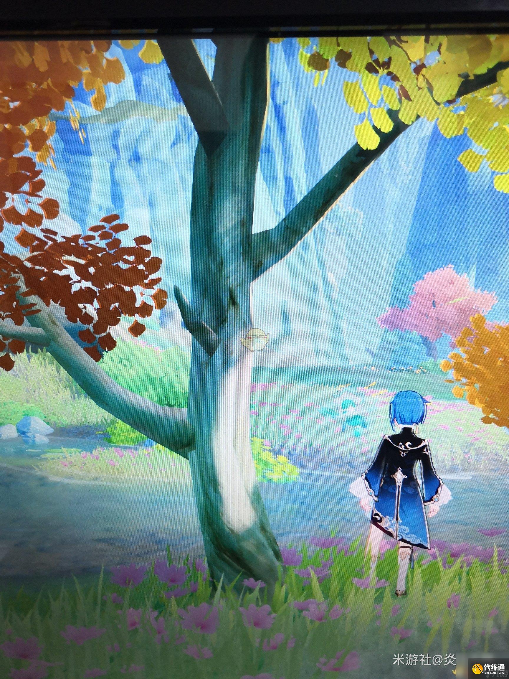 原神全树木辨别方法介绍