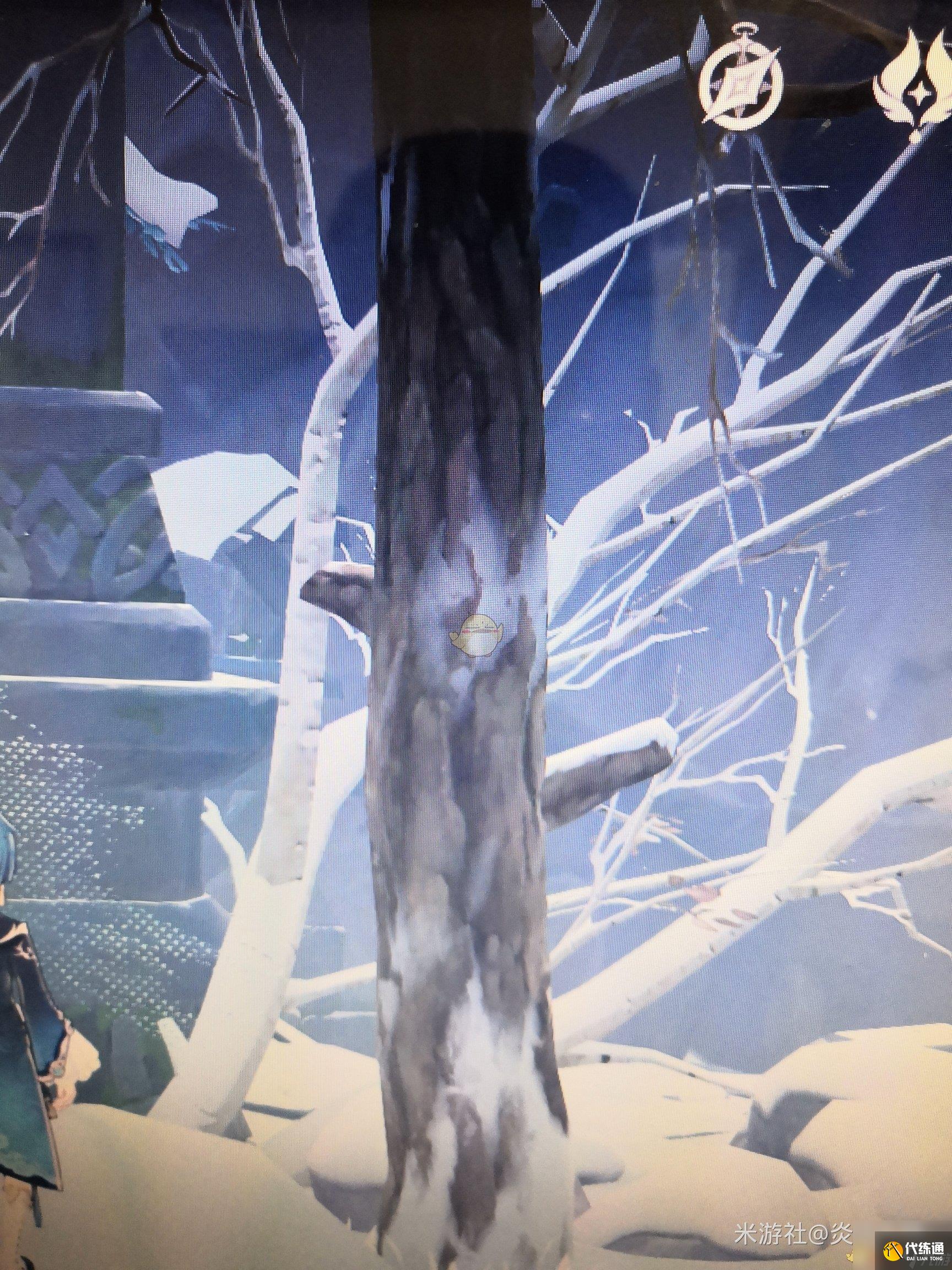 原神全树木辨别方法介绍