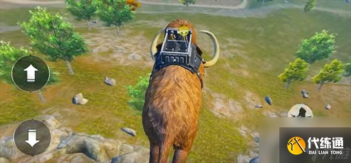 和平精英动物丛林怎么玩