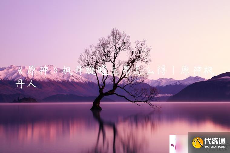 《原神》枫丹旋曜玉帛怎么得|原神枫丹人