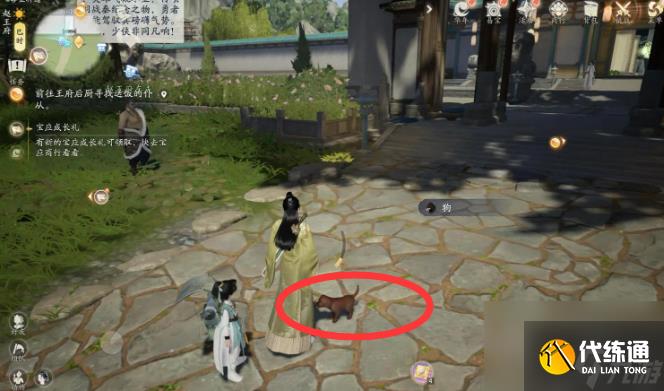 射雕手游小动物位置在哪里