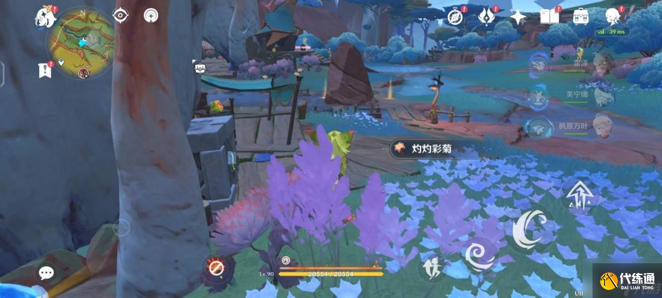 原神依奇卡胡伊皮利的庇护位置及打法