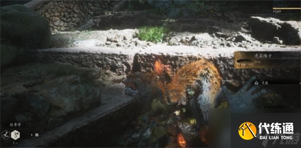 黑神话悟空虎筋条子在哪-虎筋条子位置一览