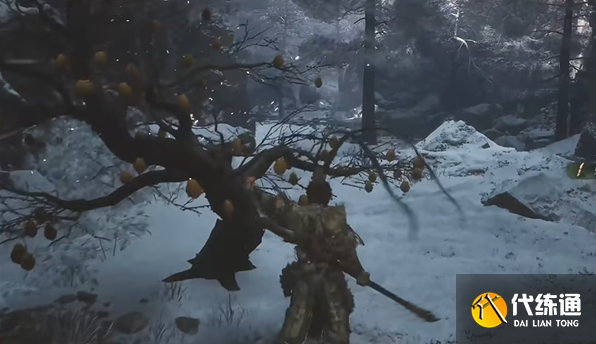 黑神话悟空交梨种子在哪