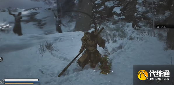 黑神话悟空龙胆种子在哪