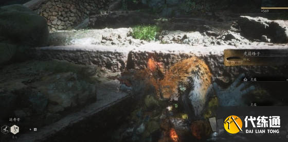 黑神话悟空虎筋条子在什么位置 虎筋条子位置分享