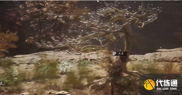 黑神话悟空树珍珠种子在哪