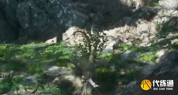 黑神话悟空漱玉花种子怎么获得