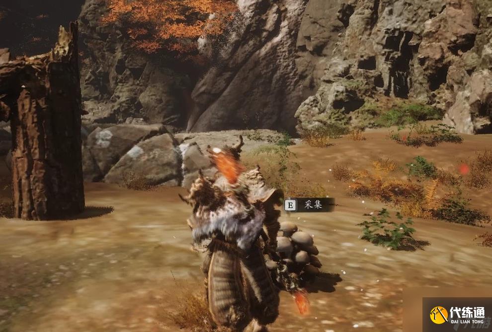 黑神话悟空草木有灵成就怎么完成