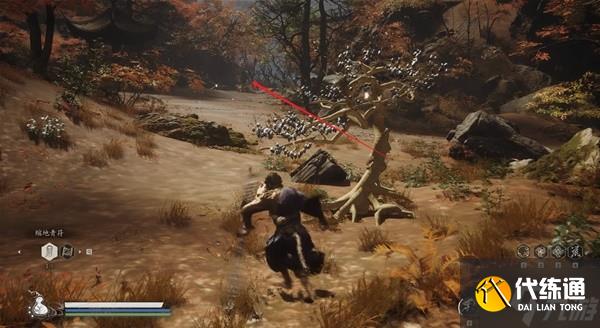 《黑神话悟空》泡酒物获取方式一览