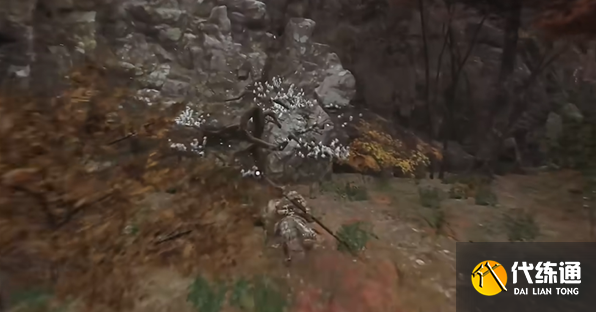 黑神话悟空树珍珠种子在哪