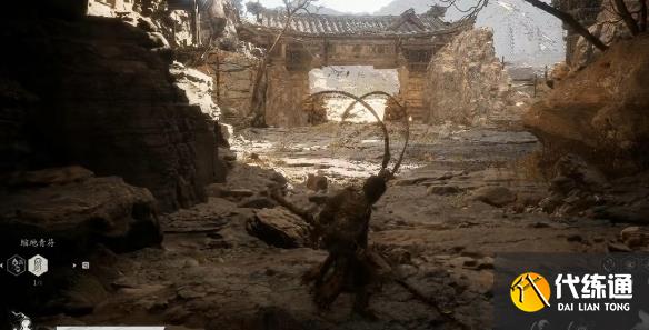 游侠网5