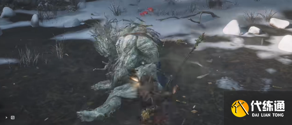 黑神话悟空老人参精精魄怎么获得 老人参精精魄获得方法