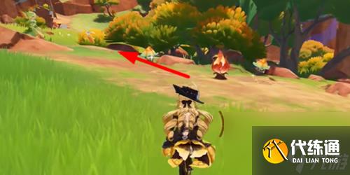 原神宝藏与收藏家任务怎么做