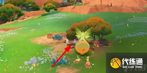 原神宝藏与收藏家任务怎么做