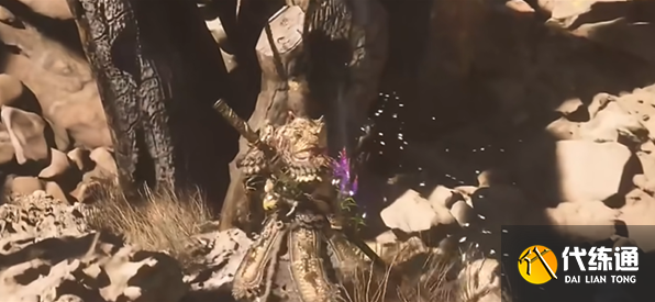 黑神话悟空种子全收集攻略