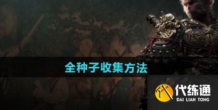 黑神话悟空全种子如何收集 黑神话悟空全种子收集方式一览