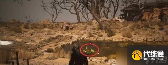 黑神话悟空第二回沙门村村内怎么过关 第二回沙门村村内通关攻略