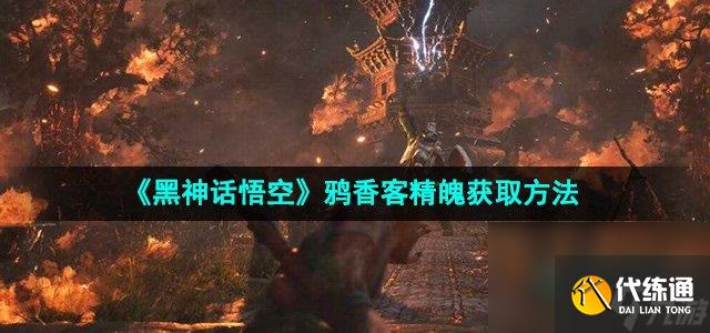 《黑神话悟空》鸦香客精魄获取方法