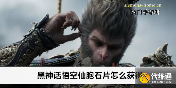 黑神话悟空仙胞石片怎么获得