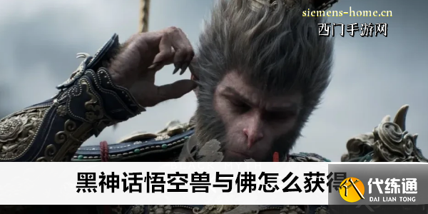 黑神话悟空兽与佛怎么获得